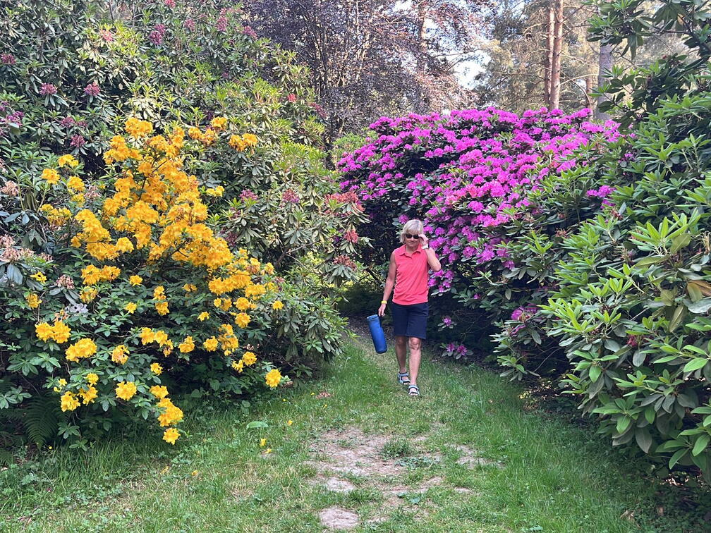 23-06-03 17-11-49 5819